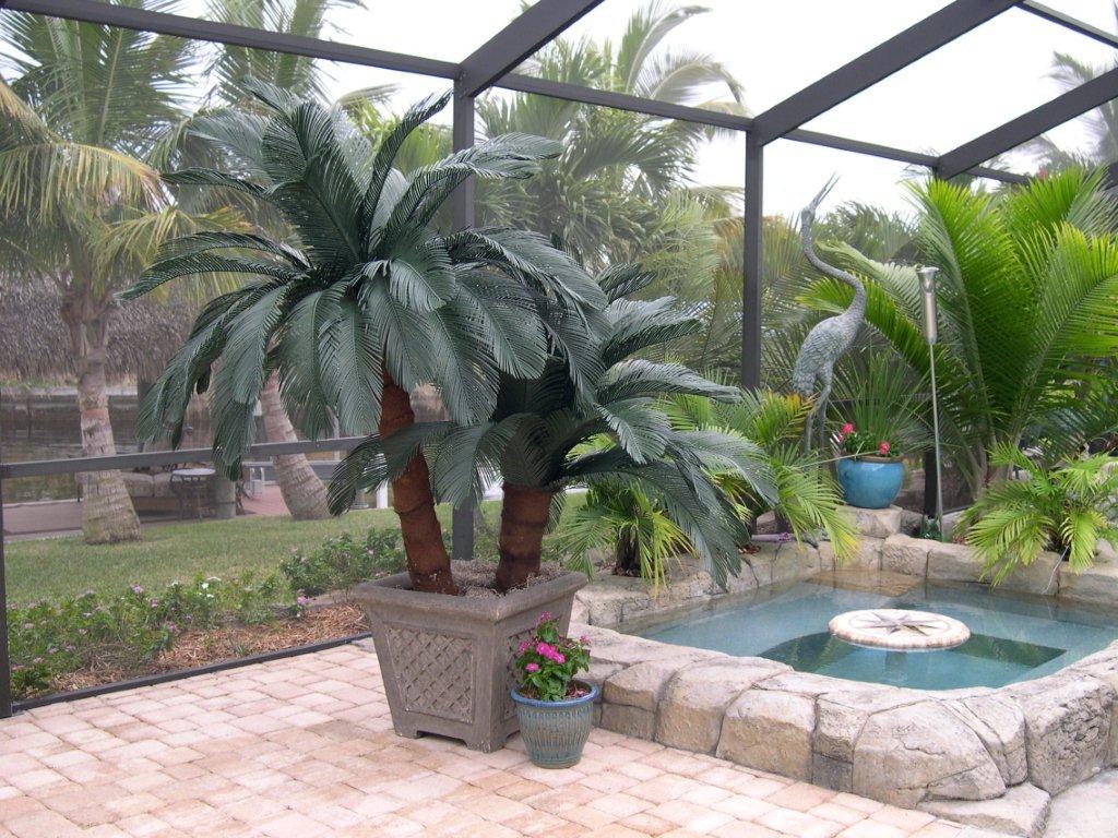 <p>Sago Palms&nbsp;&nbsp;<br>Our Sago Palms will look great next to your pool or spa. Sold individually or<font size="4"> <span style="font-size: 14px;">SAVE</span></font><span style="font-size: 14px;"> and buy the pair</span></p><p><span style="font-size: 14px;">Planter Not Included<br></span></p><p><font size="3"><span style="font-size: 14px;">Planter can be purchased at Home Depot</span><br><span style="font-size: 14px;">(SKU#270369)</span><br></font></p><p><span style="font-size: 14px;"><br></span></p><span style="font-size: 14px;">         </span>                                                                                                                                                              